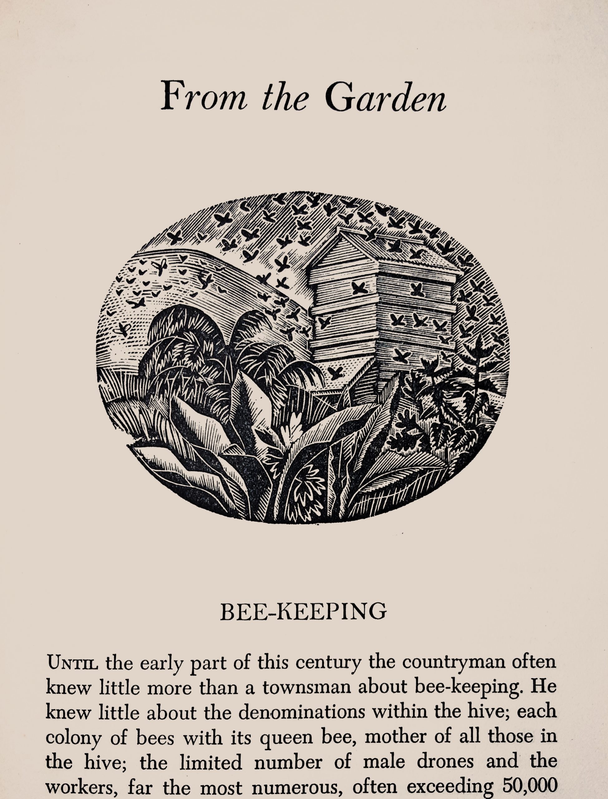 Eric Ravilious – Inexpensive Progress